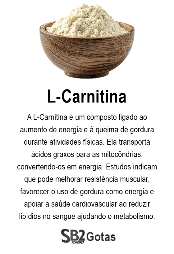 ingrediente-sb2-gotas-2-L-carnitina.png