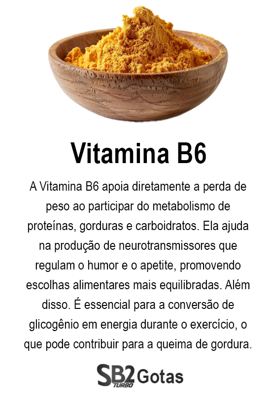 ingrediente-sb2-gotas-2-vitaina-B6.png